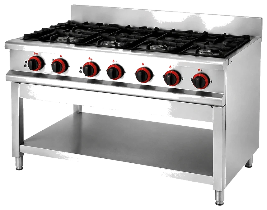 6 Burner Cooker